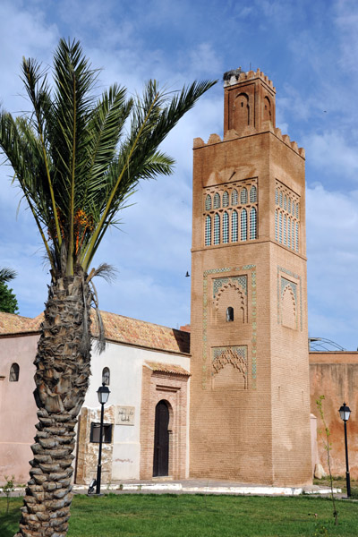 Mosque of the Mechouar with palm tree