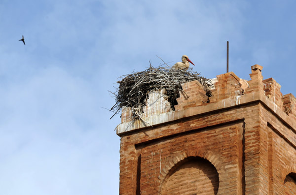 Stork nesting on top of the minaret of the Mechouar Mosque