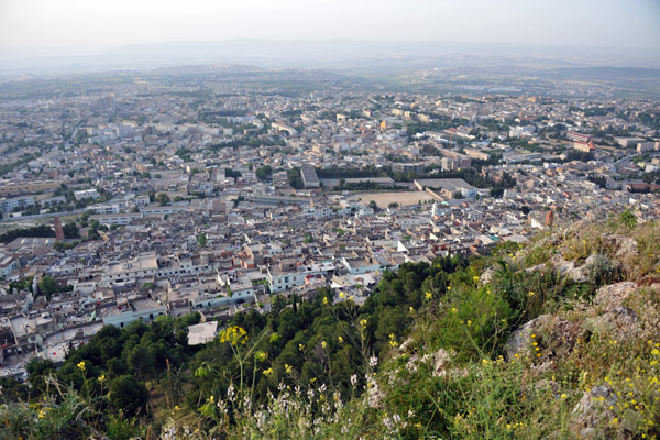 View of Tlemcen from Lalla Setti