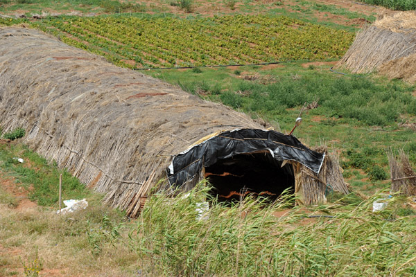 Some kind of shelter in one of the fields