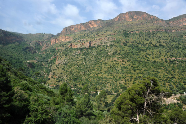 Oued El Ourit, Tlemcen National Park