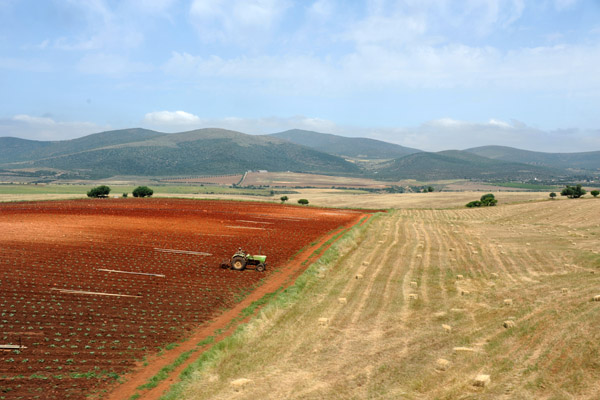 Tractor in a field of red earth between Chouly and Ouled Mimoun