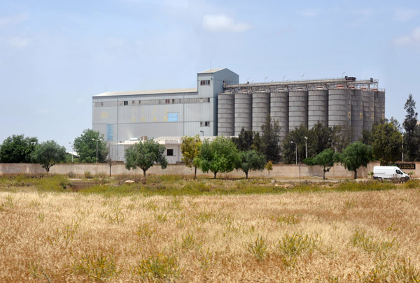 Grain Silos - Oued Tlelat