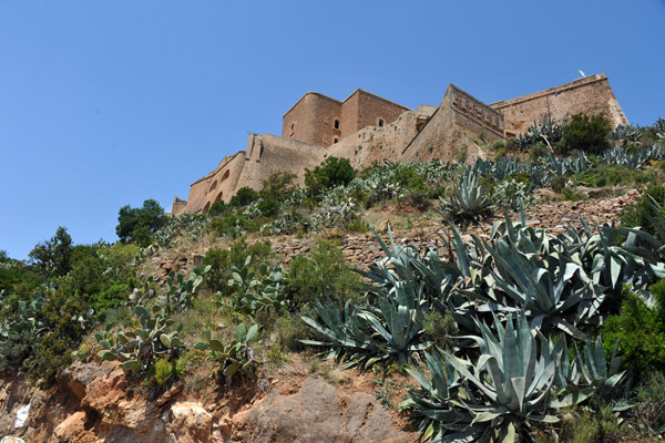 Fort Santa Cruz sits at an elevation of 400m