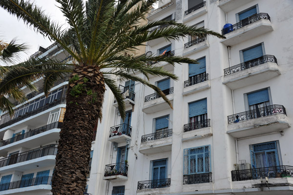 Palm tree and balconies, Oran