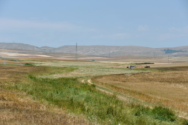 Algerian countryside between Constantine and El Eulma