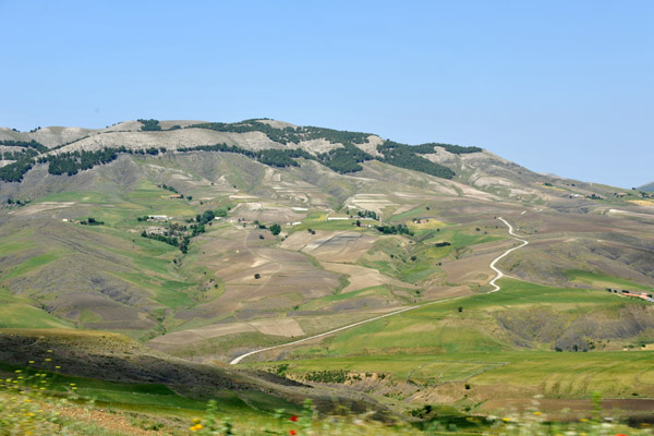 Green hills of Djmila