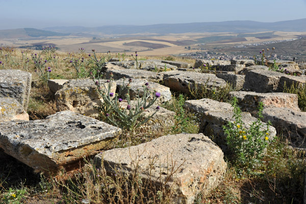 Ruins around the Tomb of Masinissa