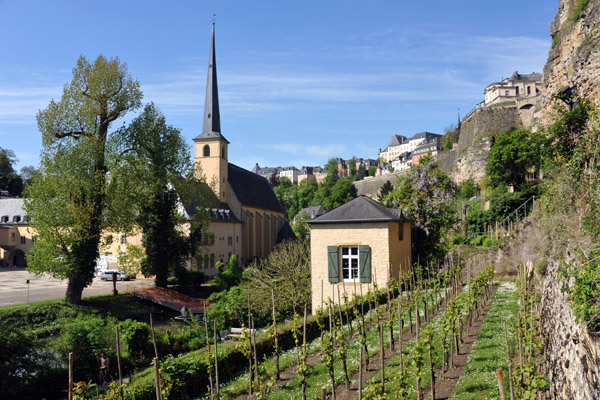 Small gardens along the Alzette River across from the Abbey of Neimnster, Luxembourg