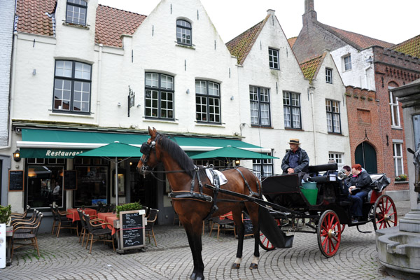 Horse and carriage, Wijngaardplein