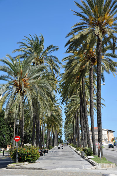 Passeig de Sagrera, Palma
