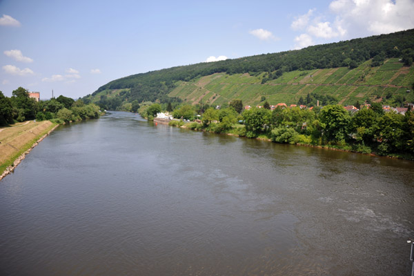 At Klingenberg, I cross from the left bank to the right bank of the Main River