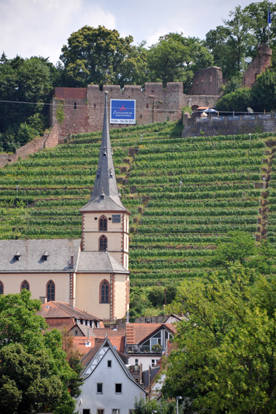 Vineyards in the old castle grounds, Klingenberg