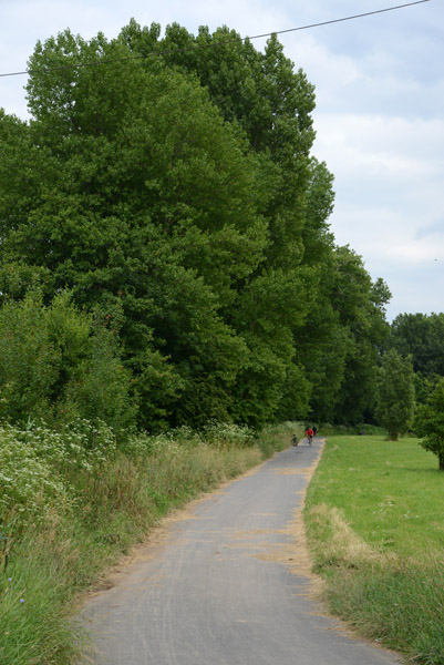 Main Radweg between Rumpenheim and Mhlheim