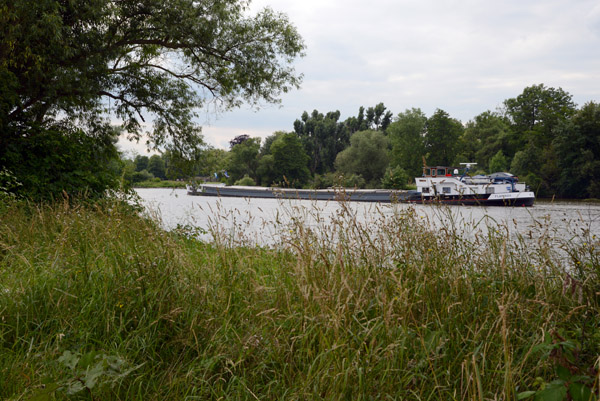 Dutch River Freighter Flamingo sailing down the Main