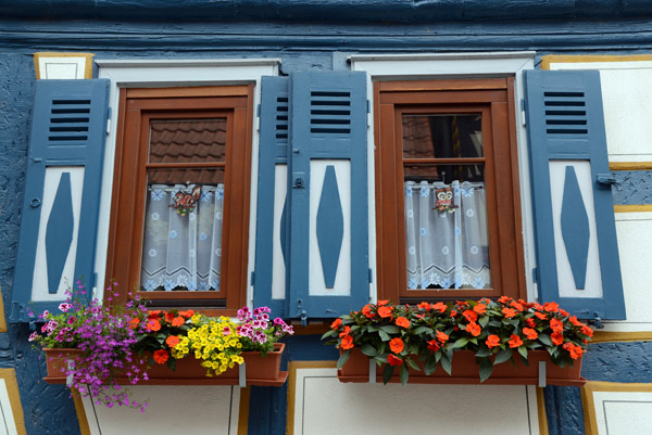 Blue shutters and window flower boxes, Steinheim