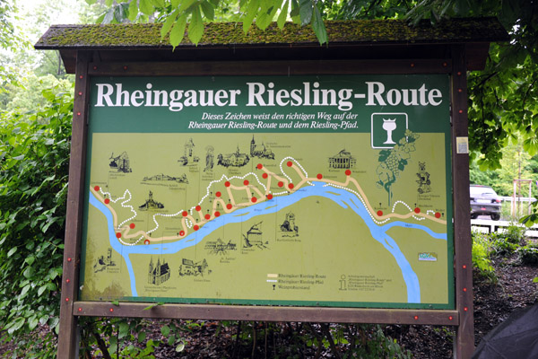 Rheingaues Riesling-Route and Riesling-Pfad