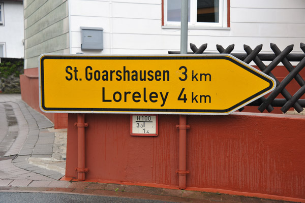 Drive up to the Loreley, 4 km from the river