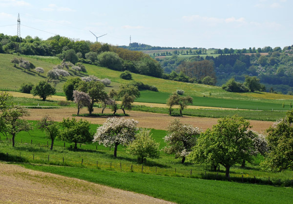 Landscape, Eifelkreis Bitburg-Prm