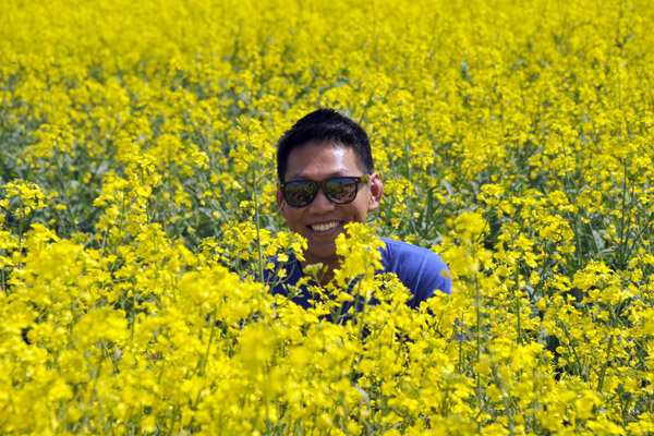 Dennis in the rapeseed field, Rheinland-Pfalz