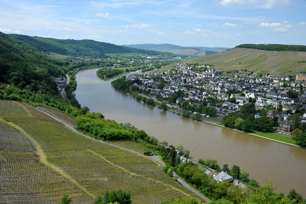 Mosel wine country from Burg Landshut