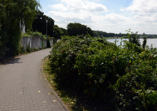 Cycle Path along the Rhine, Dsseldorf-Holthausen