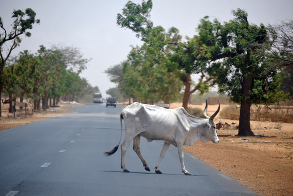 SenegalJul13 0722.jpg