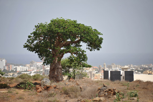 SenegalJul13 0912.jpg