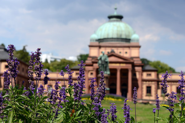 Purple flowers in front of Kaiser-Wilhelms-Bad, Bad Homburg