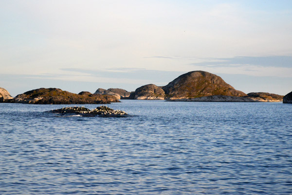 GreenlandSep13 3031.jpg