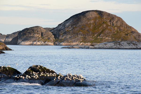 GreenlandSep13 3040.jpg