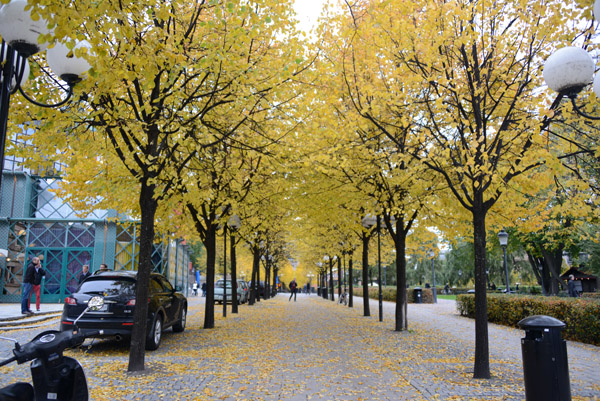 Autumn colors, Karl XIIs torg, Stockholm