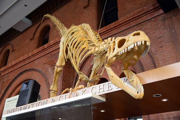 Dinosaur skeleton in a dramatic pose over the coat check of the South Australian Museum