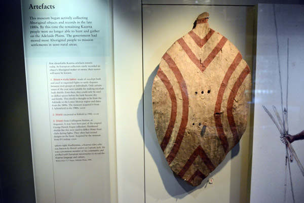 19th C. shield (mulla bakka) of eucalypt bark