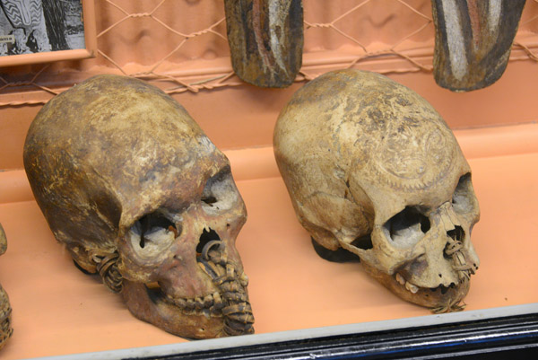 Trophy skulls of enemies, Okearavi, Purari Delta, eastern Papuan Gulf