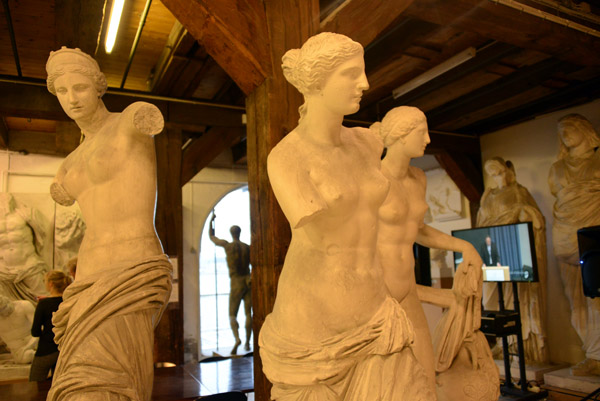 Collection of Venuses, Royal Danish Cast Museum