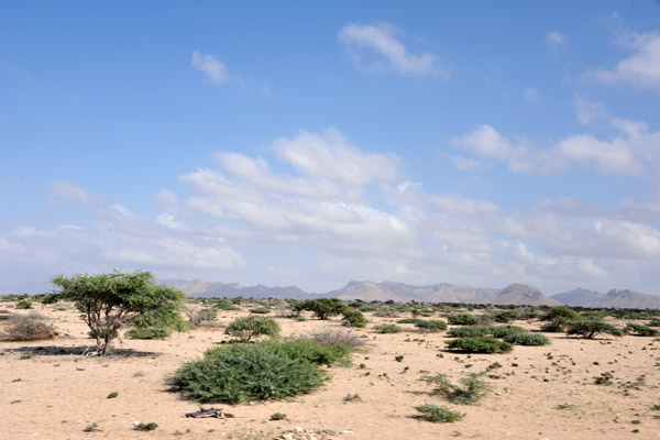Sandy flats outside Berbera with the mountains in the distance