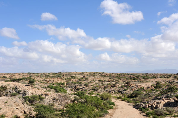 Crossing a narrow wadi near Berbera