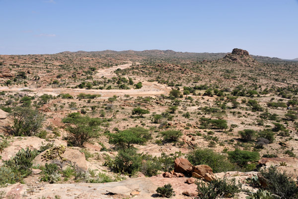 View looking towards the confluence of the wadis that gave Laas Geel its name, where the camels are watered