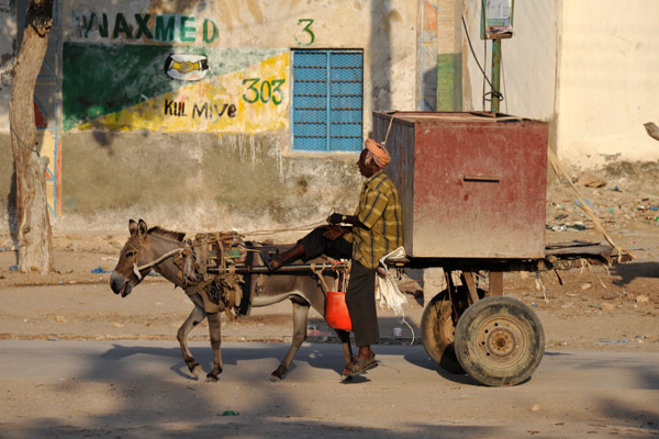 Perhaps surprisingly, there weren't too many animal-drawn carts in Berbera