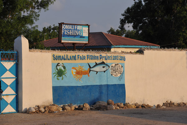 Somaliland Fair Fishing Project, Berbera