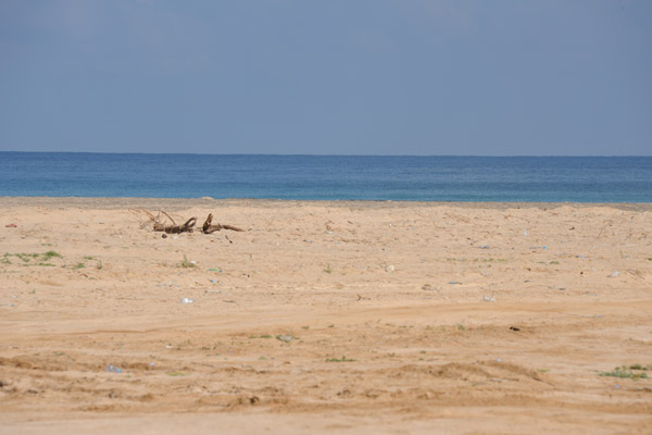 Gulf of Aden coast across from the Maansoor Hotel, Berbera