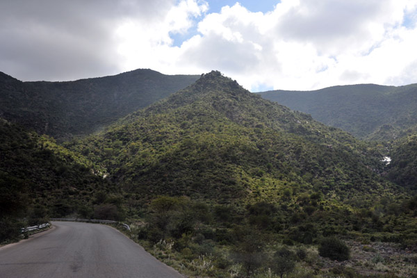 From the coast, the road gradually reaches an elevation of 2500 feet before the big ascent begins after around 55 km