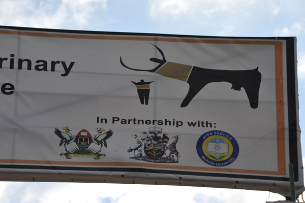 Logo of the Veterinary School is based on the prehistoric cave paintings found in Somaliland