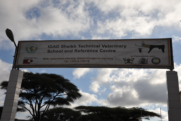 Last stop, back at the IGAD Sheikh Technical Veterinary School and Reference Centre