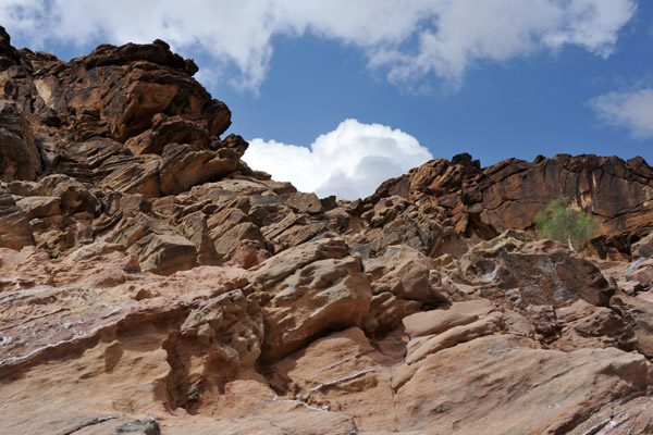 Looking up at the steep canyon walls