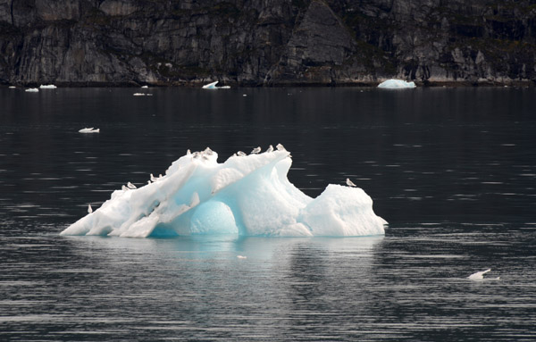 GreenlandSep13 3251.jpg