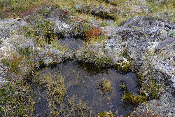 GreenlandSep13 3422.jpg