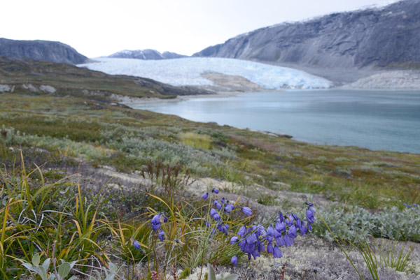 GreenlandSep13 3425.jpg
