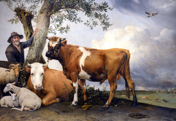 The Bull, Paulus Potter, 1647